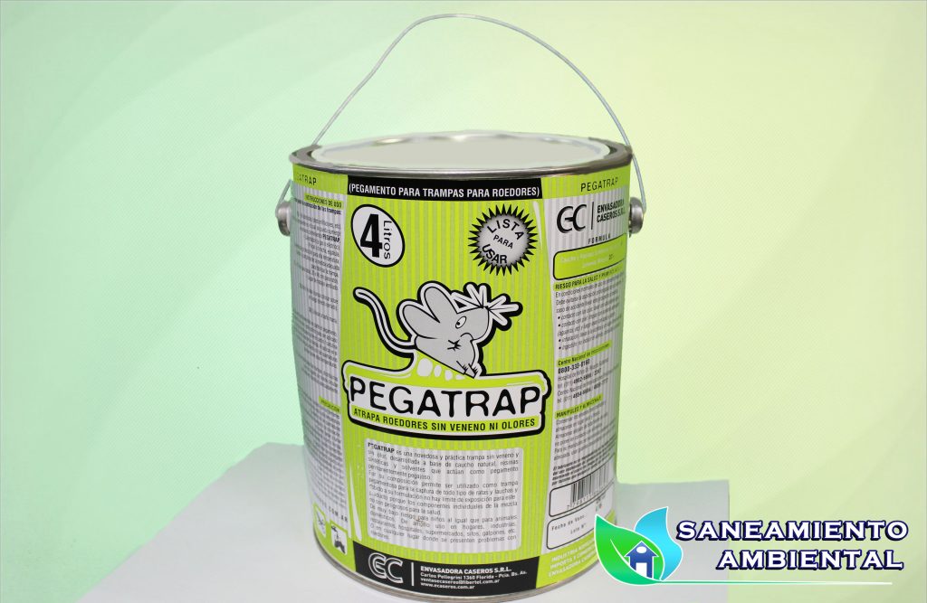 pegamento para ratas