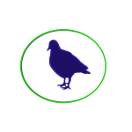 Aves