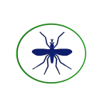 Mosquitos