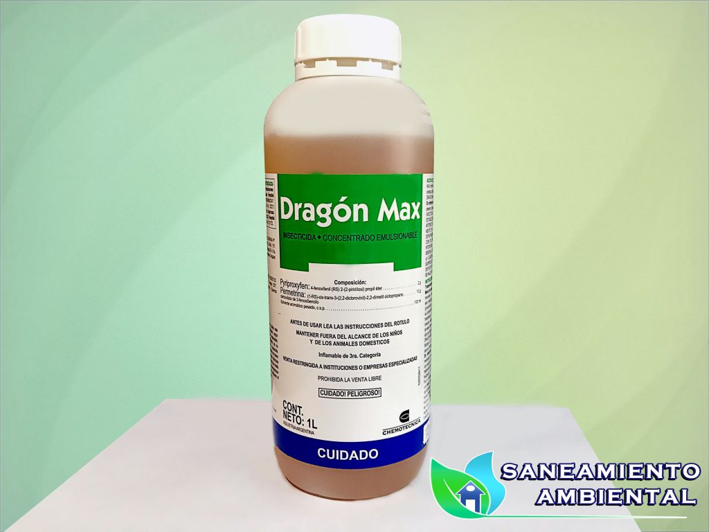 dragon max