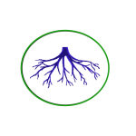 Enraizador