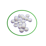 naftalina
