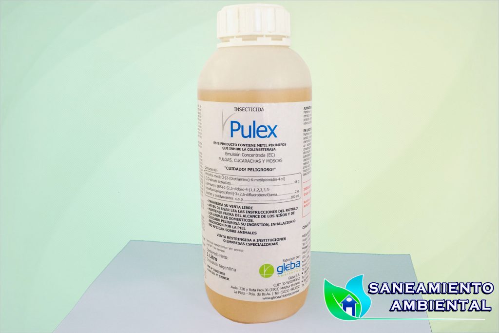 Pulex