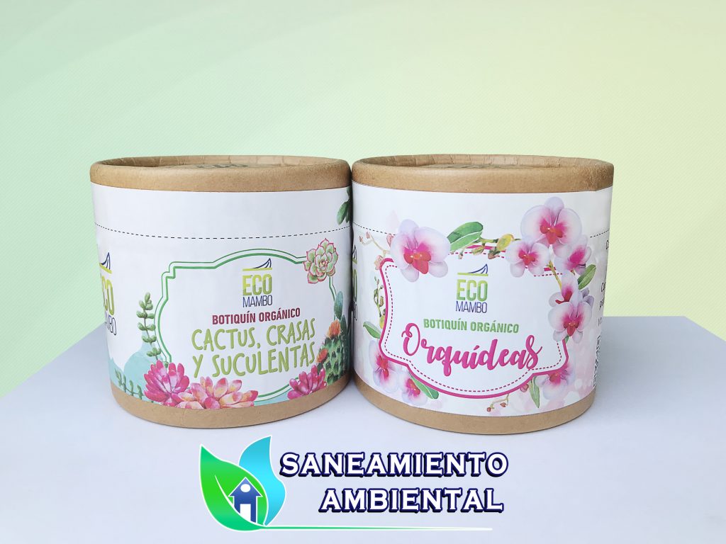 Kit Orquídeas y Cactus
