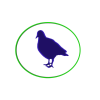 Aves
