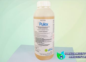 Pulex