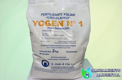 yoguen 1