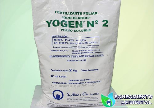 yoguen 2