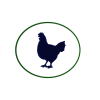 aviar