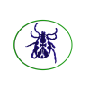 garrapatas