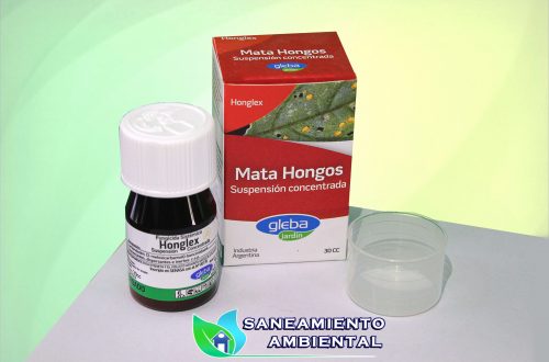 honglex
