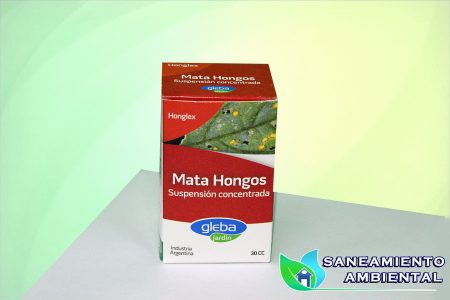 honglex