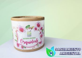 kit orquideas