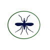 mosquitos