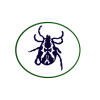Garrapatas