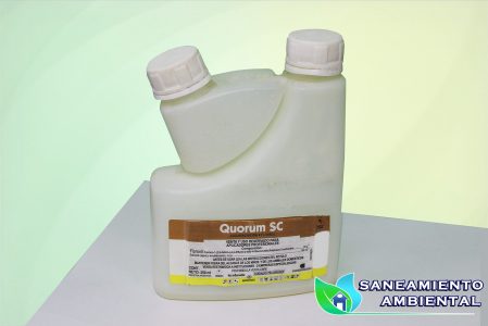 quorum